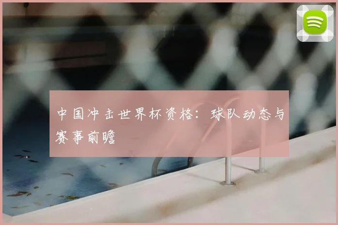 中国冲击世界杯资格:球队动态与赛事前瞻