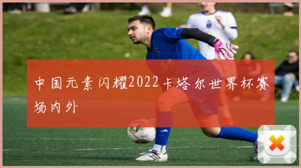 中国元素闪耀2022卡塔尔世界杯赛场内外