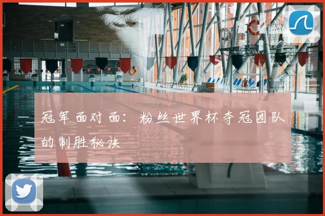 冠军面对面:粉丝世界杯夺冠团队的制胜秘诀