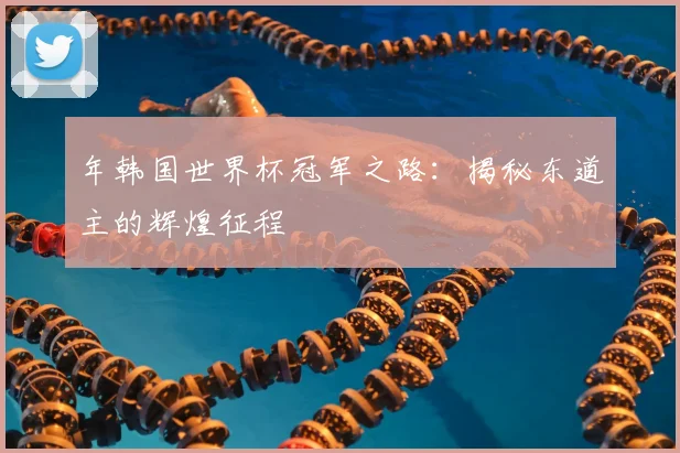 年韩国世界杯冠军之路:揭秘东道主的辉煌征程