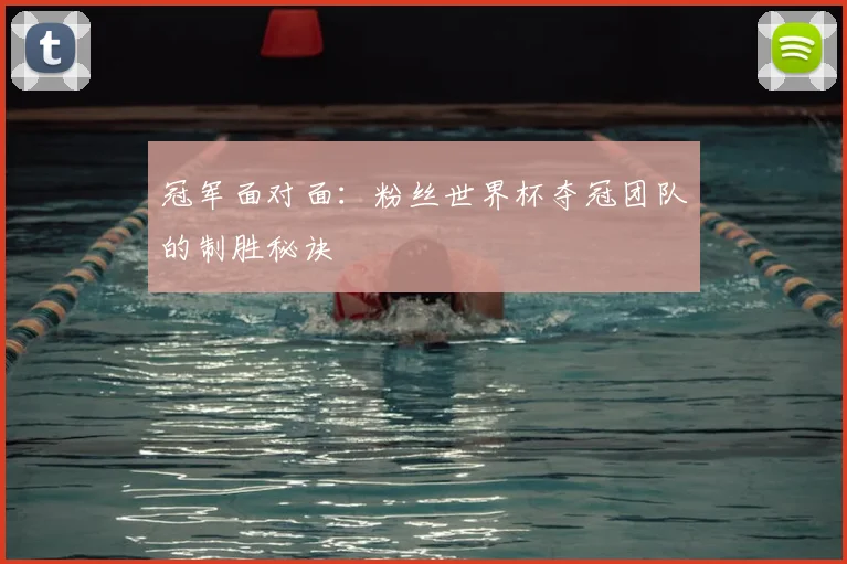 冠军面对面:粉丝世界杯夺冠团队的制胜秘诀